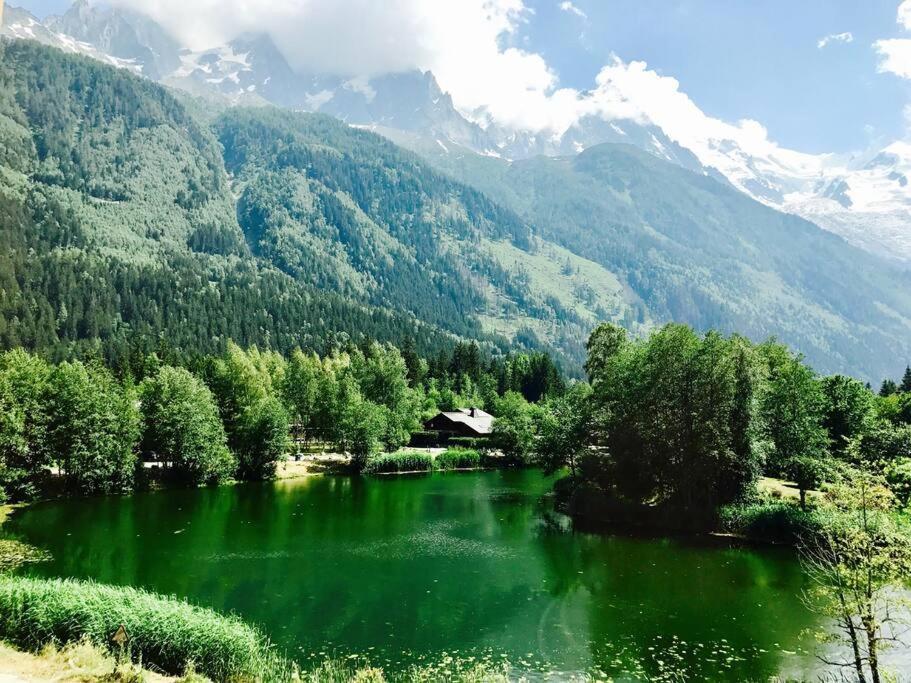 Modern 2Br 5* Pool Gym Spa Garage Mont-Blanc View Chamonix Eksteriør bilde